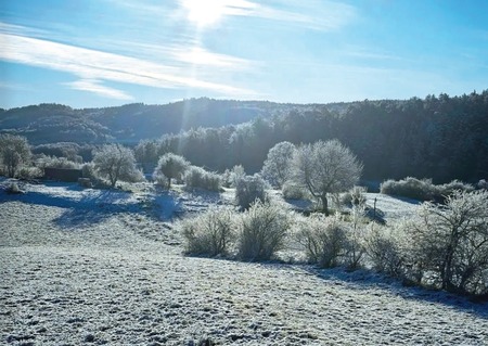 Zima (Foto: Sabina Žnebelj)