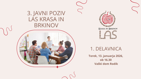 3 JP delavnica Rodik