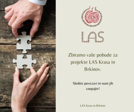 Vprašalnik za pripravo nove strategije Lokalne akcijske skupine (LAS) Krasa in Brkinov za programsko obdobje 2021-2027