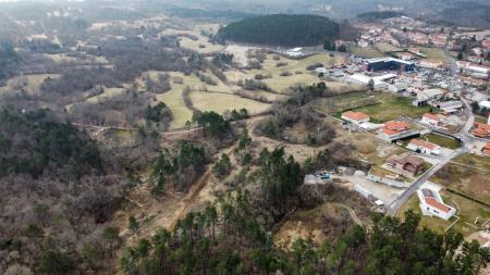 Čiščenje trase, posek