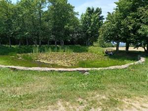 ENGREEN2_IMG_20220616-mala